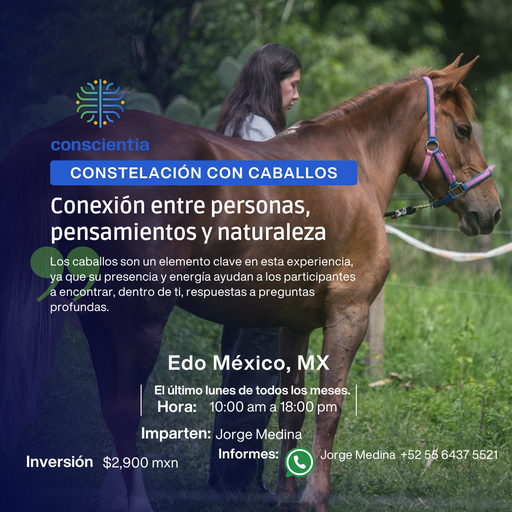 Constellation with Horses (MXN)